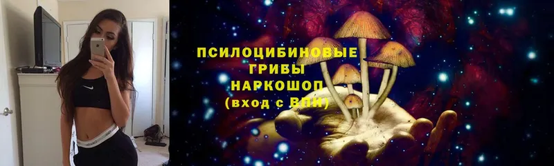 Псилоцибиновые грибы мухоморы Новоуральск